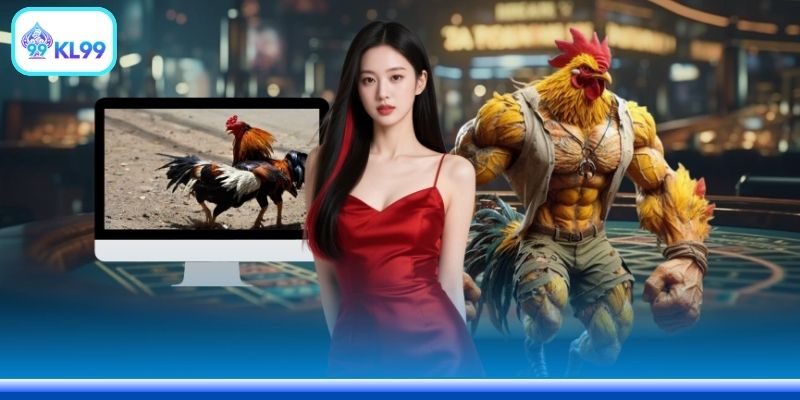 Tham gia cược gà live tiền lớn dễ dàng